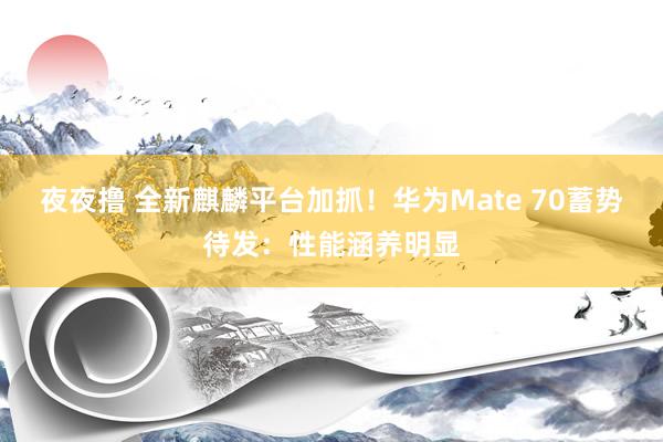 夜夜撸 全新麒麟平台加抓！华为Mate 70蓄势待发：性能涵养明显