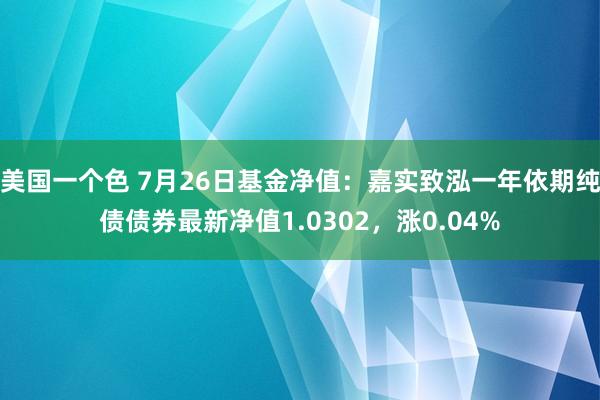 美国一个色 7月26日基金净值：嘉实致泓一年依期纯债债券最新净值1.0302，涨0.04%