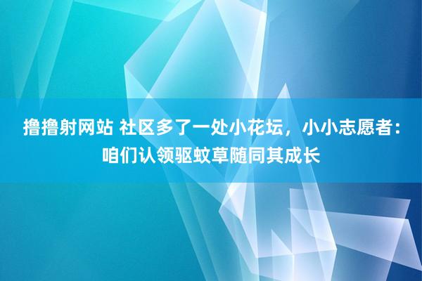 撸撸射网站 社区多了一处小花坛，小小志愿者：咱们认领驱蚊草随同其成长