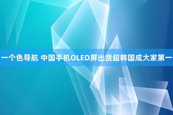 一个色导航 中国手机OLED屏出货超韩国成大家第一