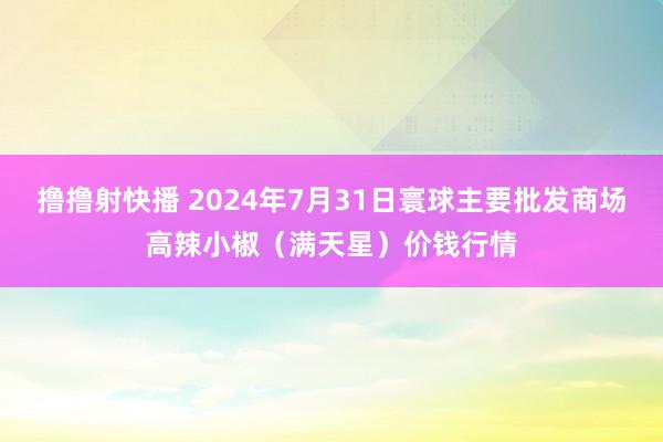 撸撸射快播 2024年7月31日寰球主要批发商场高辣小椒（满天星）价钱行情