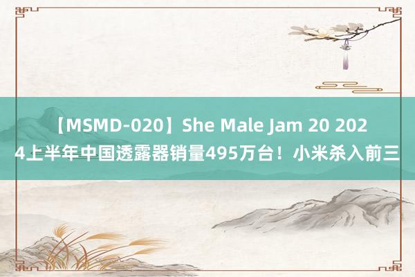 【MSMD-020】She Male Jam 20 2024上半年中国透露器销量495万台！小米杀入前三