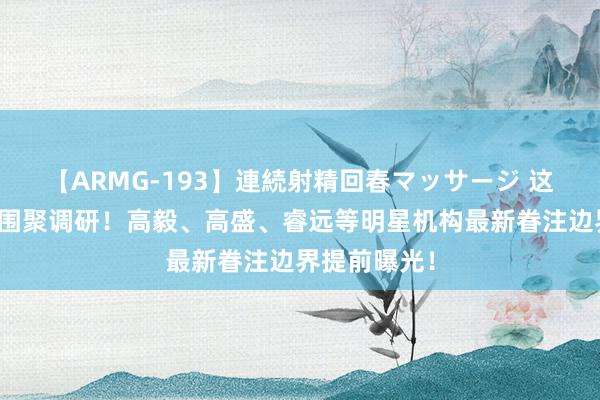 【ARMG-193】連続射精回春マッサージ 这三大行业被围聚调研！高毅、高盛、睿远等明星机构最新眷注边界提前曝光！