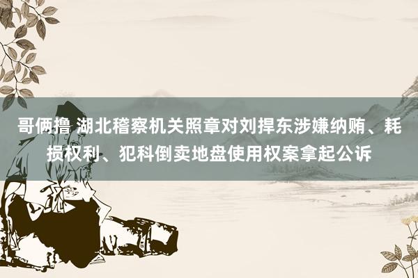 哥俩撸 湖北稽察机关照章对刘捍东涉嫌纳贿、耗损权利、犯科倒卖地盘使用权案拿起公诉