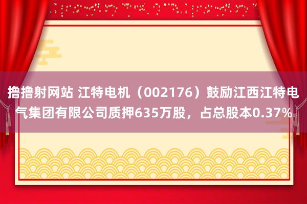 撸撸射网站 江特电机（002176）鼓励江西江特电气集团有限公司质押635万股，占总股本0.37%