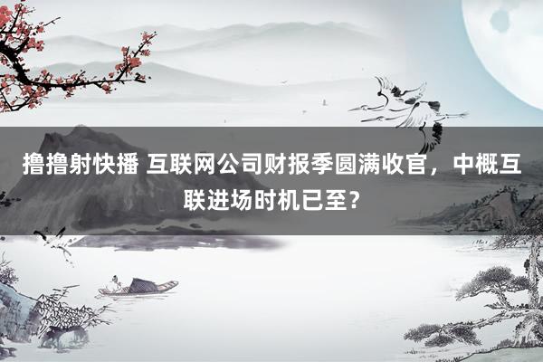 撸撸射快播 互联网公司财报季圆满收官，中概互联进场时机已至？