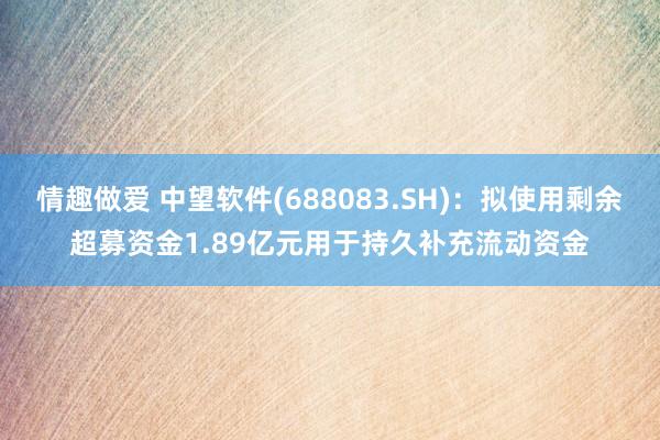 情趣做爱 中望软件(688083.SH)：拟使用剩余超募资金1.89亿元用于持久补充流动资金