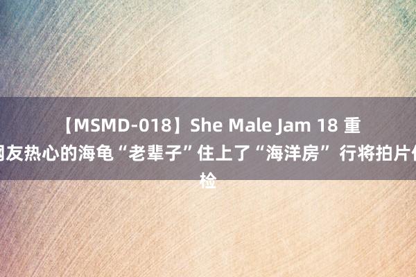 【MSMD-018】She Male Jam 18 重庆网友热心的海龟“老辈子”住上了“海洋房” 行将拍片体检