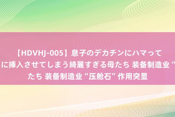 【HDVHJ-005】息子のデカチンにハマってしまい毎日のように挿入させてしまう綺麗すぎる母たち 装备制造业“压舱石”作用突显