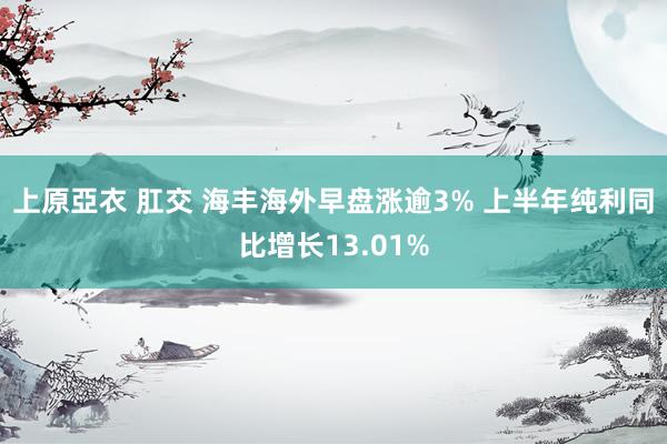 上原亞衣 肛交 海丰海外早盘涨逾3% 上半年纯利同比增长13.01%