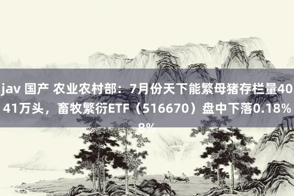 jav 国产 农业农村部：7月份天下能繁母猪存栏量4041万头，畜牧繁衍ETF（516670）盘中下落0.18%