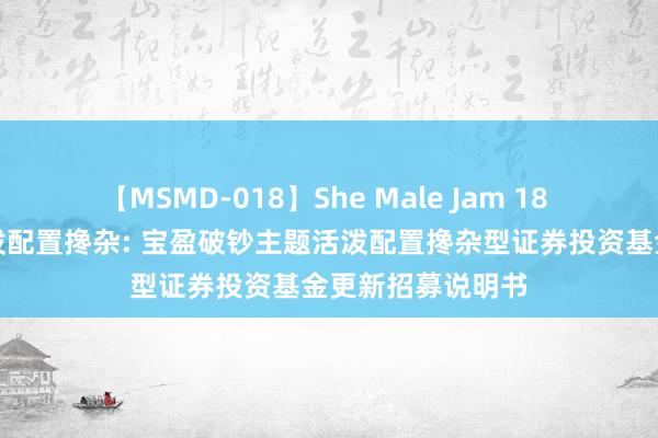 【MSMD-018】She Male Jam 18 宝盈破钞主题活泼配置搀杂: 宝盈破钞主题活泼配置搀杂型证券投资基金更新招募说明书