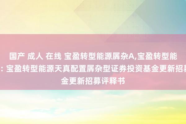 国产 成人 在线 宝盈转型能源羼杂A，宝盈转型能源羼杂C: 宝盈转型能源天真配置羼杂型证券投资基金更新招募评释书