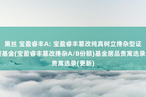 黑丝 宝盈睿丰A: 宝盈睿丰篡改纯真树立搀杂型证券投资基金(宝盈睿丰篡改搀杂A/B份额)基金居品贵寓选录(更新)