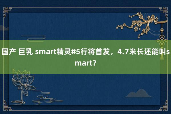 国产 巨乳 smart精灵#5行将首发，4.7米长还能叫smart？