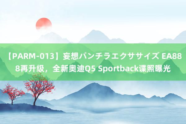 【PARM-013】妄想パンチラエクササイズ EA888再升级，全新奥迪Q5 Sportback谍照曝光