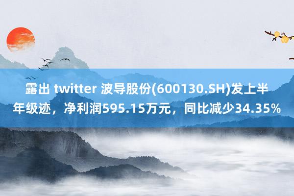 露出 twitter 波导股份(600130.SH)发上半年级迹，净利润595.15万元，同比减少34.35%