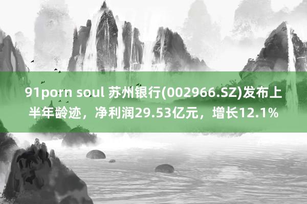 91porn soul 苏州银行(002966.SZ)发布上半年龄迹，净利润29.53亿元，增长12.1%