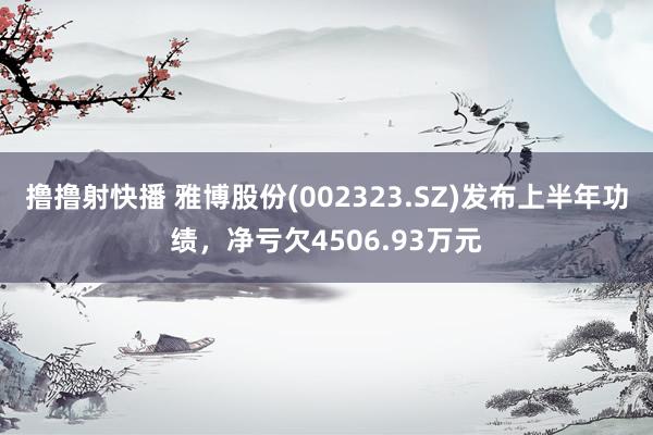 撸撸射快播 雅博股份(002323.SZ)发布上半年功绩，净亏欠4506.93万元