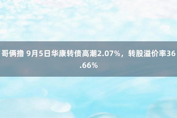 哥俩撸 9月5日华康转债高潮2.07%，转股溢价率36.66%