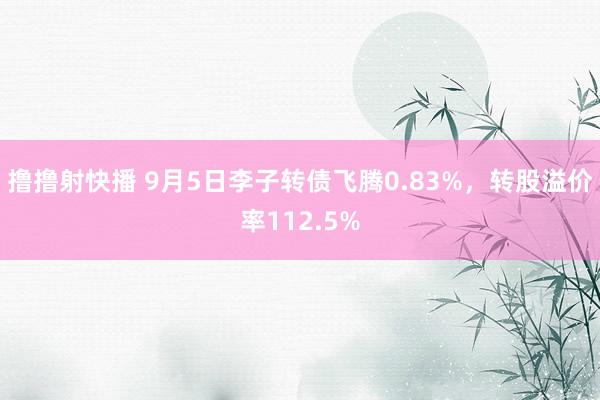 撸撸射快播 9月5日李子转债飞腾0.83%，转股溢价率112.5%