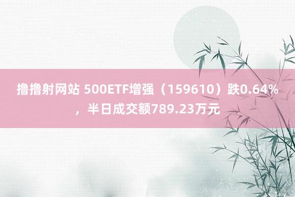 撸撸射网站 500ETF增强（159610）跌0.64%，半日成交额789.23万元