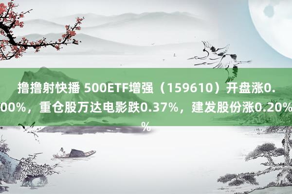 撸撸射快播 500ETF增强（159610）开盘涨0.00%，重仓股万达电影跌0.37%，建发股份涨0.20%